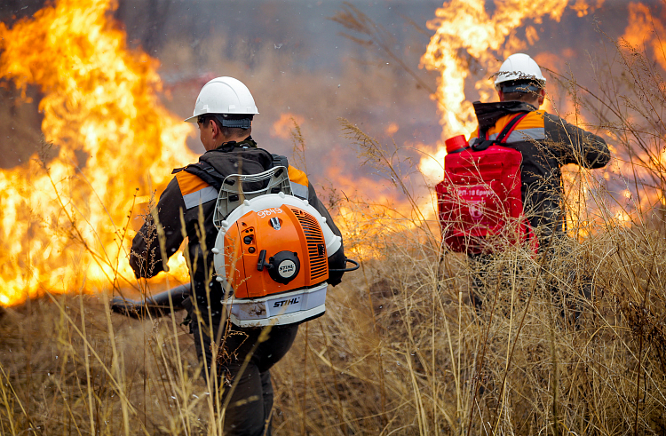 Крупный лесной пожар ликвидировали в Приморье