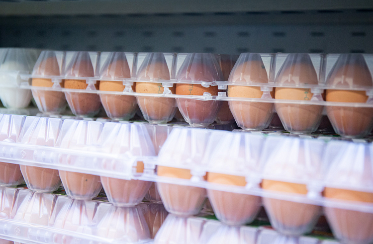 В Приморье увеличилось производство мяса, молока и яиц