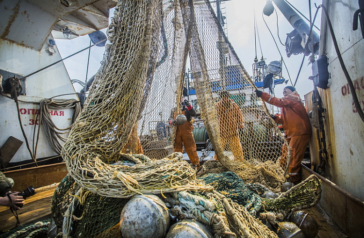 Промысел лосося в Приморье могут продлить