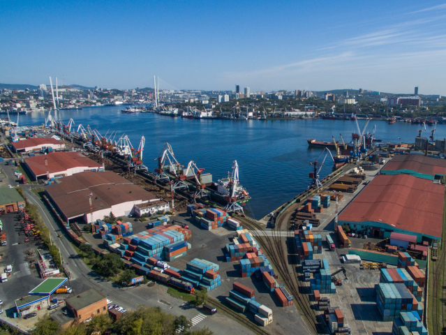 Vladivostokskiy morskoy torgovyy port