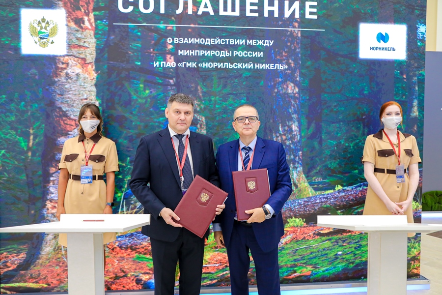 «Норникель» и Минприроды подписали соглашение по сохранению кречета в России