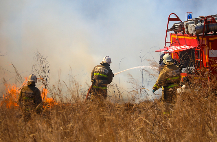 Пожароопасный сезон в Приморском крае начнется 15 марта