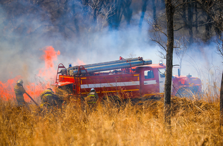 Три природных пожара потушили в Приморье за сутки
