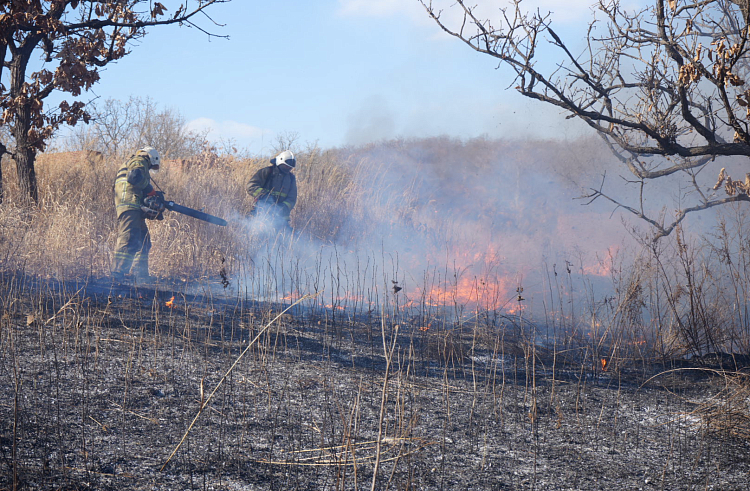 Восемь пожаров ликвидировали в Приморье