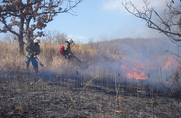 За сутки в Приморском крае ликвидировано 16 природных пожаров