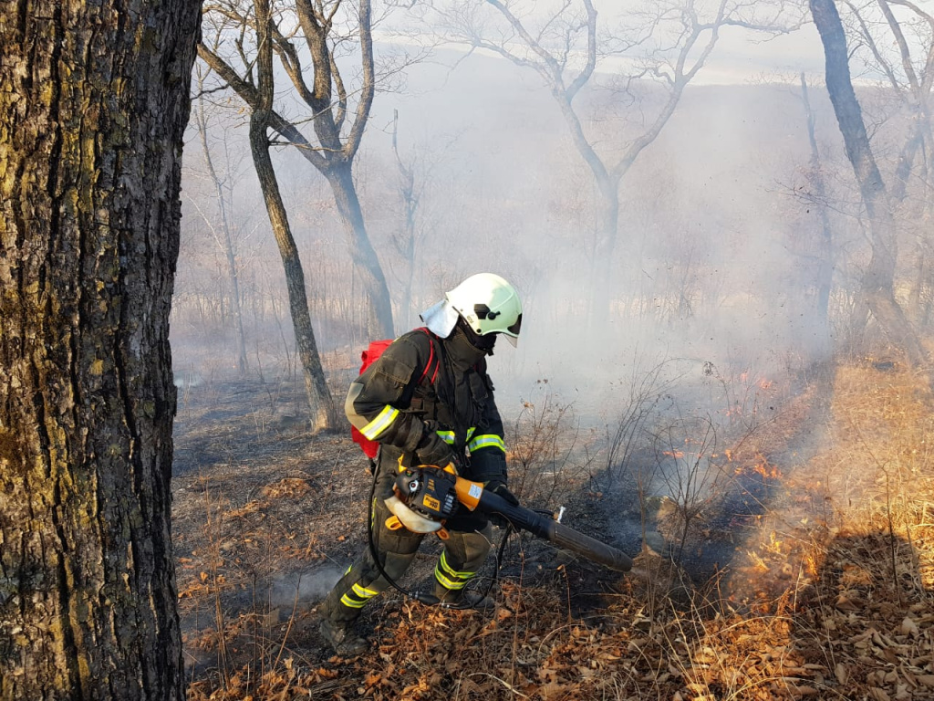 Почти 250 природных пожаров потушили с начала года во Владивостоке