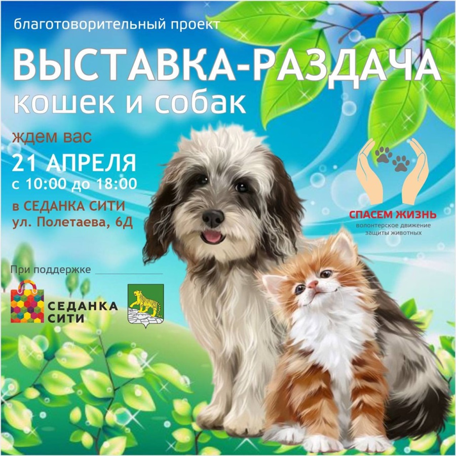 Во Владивостоке состоится выставка-раздача животных