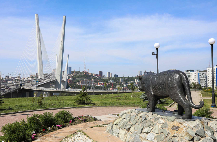 Жителей Приморья приглашают помочь Владивостоку получить звание «Культурная столица 2026 года»
