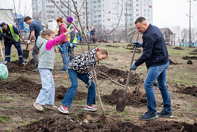 Семьи Владивостока высадят деревья в Покровском парке