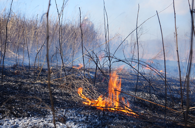 Два природных пожара потушили в Приморье