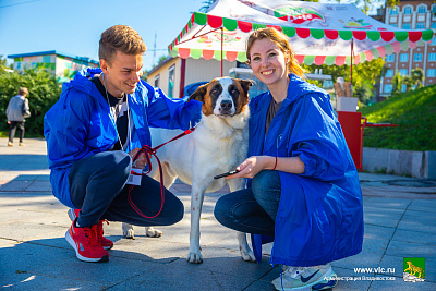 В день Молодежи во Владивостоке можно будет помочь бездомным животным