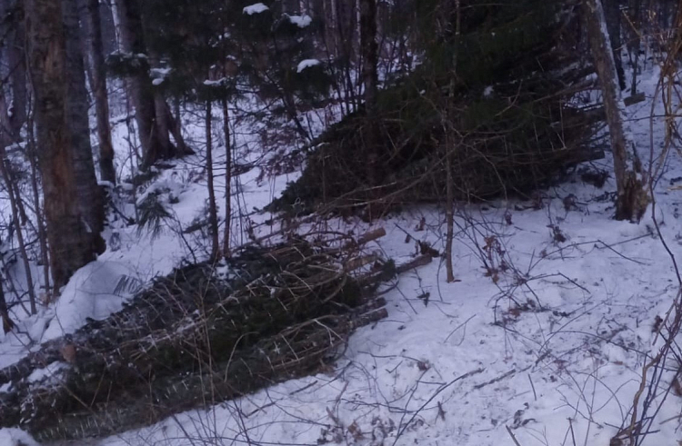 bcox8j11wih1pkakhdnvcacibcdttsw4