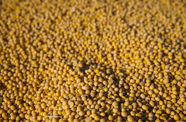 f2ms1n1hqcbhzgea69jlqv60qx7jcij7