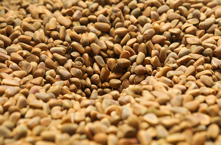 mv6w2339dqkzvqmoyt4otlim0u21h97p