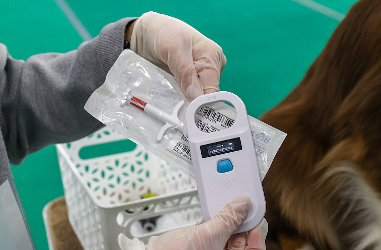 xo60mub8uss0fe0qu1kexka1nouwolwz