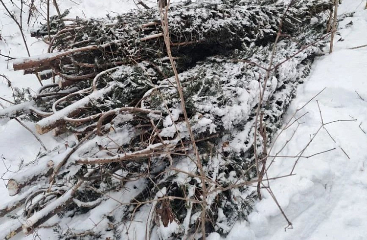 dhey3s6hv3yfti4w5gw2j0wc1f2aopxs