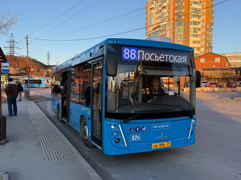 photo 5321011386924077440 y