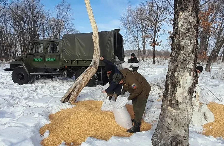 7rrw3cnorg8obro6hd8rqlqu5ld62v9s