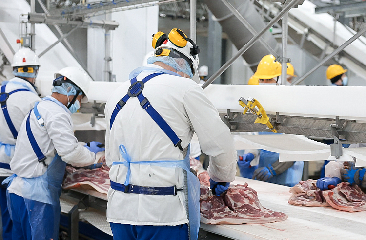 74wt1kwabl3dikkuxcub2h5fjja8e2yz