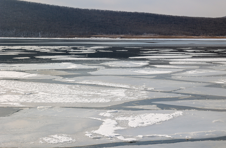 t3amd319mvx0zysge0rs55l401qd7l57