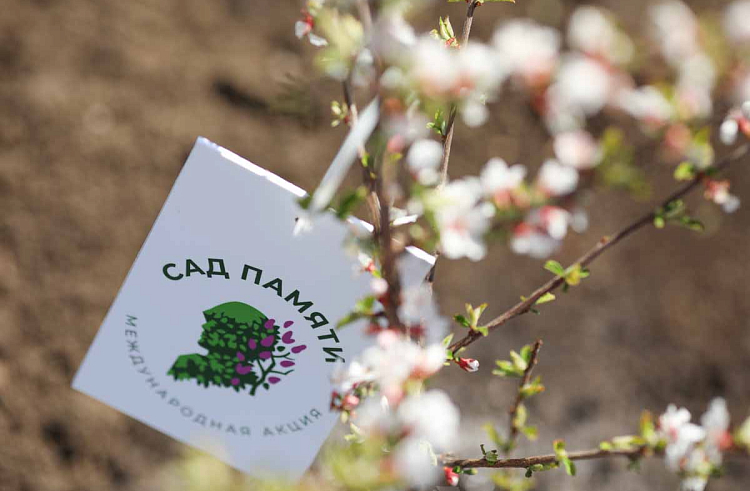 1eherenach8ub7ozxcldkbmdkzmmgsqw