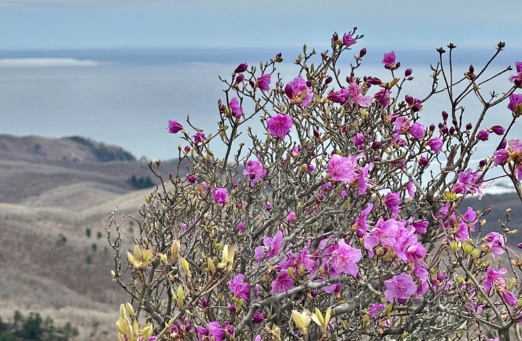 8a6qnpi2zk4itgamowca85kbpo1lbhbb