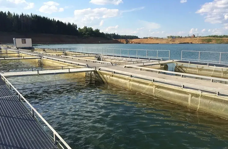 axje4f308x3i0yxv2zjw12zdtmigihs6