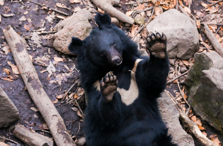 gd1b7izt8irdrqb0kcfnc5j64zd4nsjx