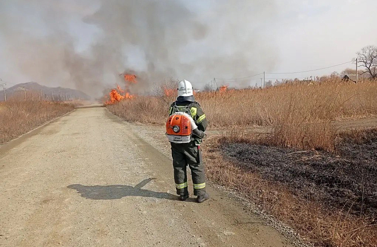 ggn40vdp9ik1tm02sg0ryr6ja8z03zne