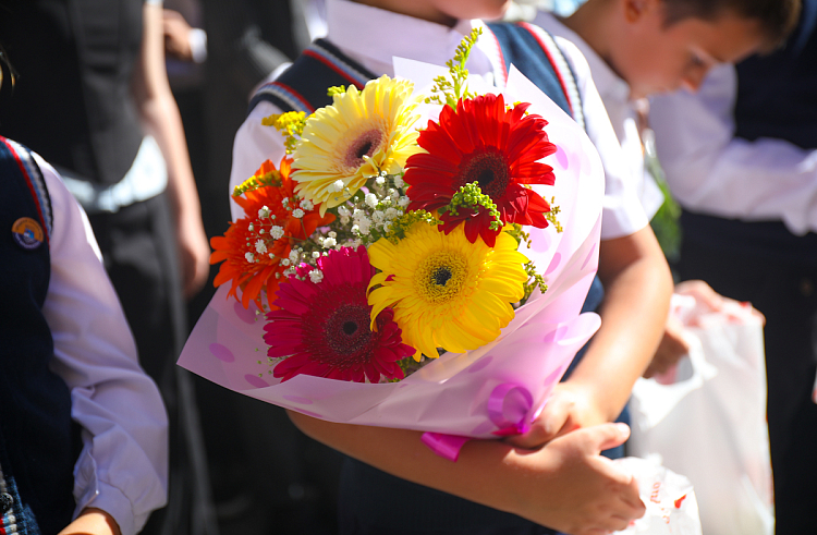 hfgcrlowlqw5s7aavyu1bt0a8vplzxbs