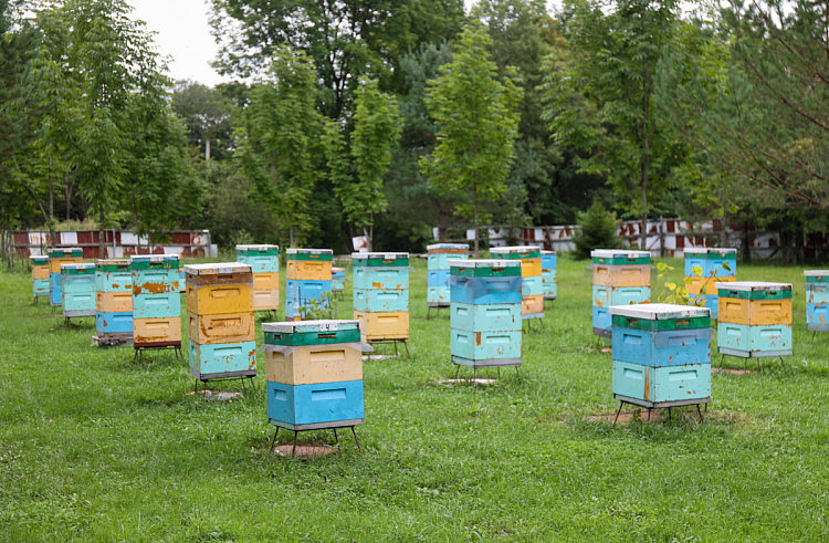 t5bbsbj5ytfnoty6juq18xnfi5swakdf