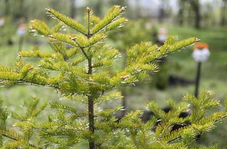 0lwq0c4u0cdqarjx6xnmozojrhxbgr1f