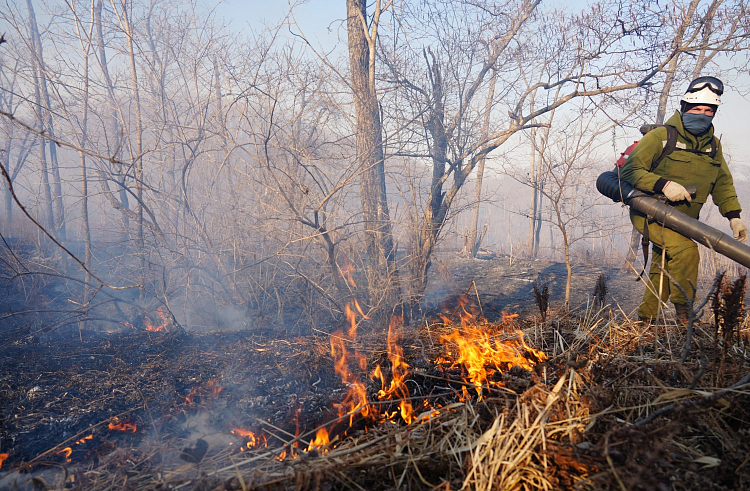 1hwzrgbbdeg1nyhpojxn9t470x1tqost