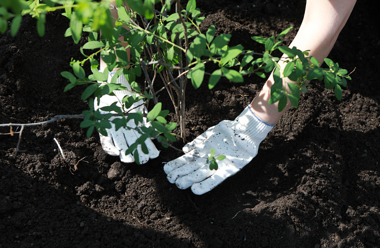 3uvmnjm51tf8a2k6o69s0gp9snirs4ke