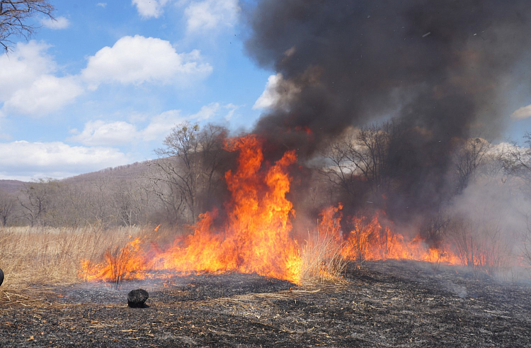 4ldbyuykdmm7b3wcxs4wus5stb3o0s7n