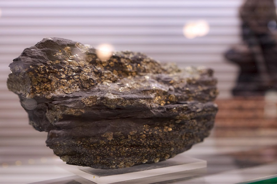 6O4A7186 2000 2000 214034