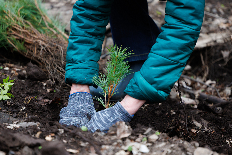 Park Snegovaya pad 5