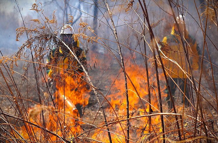 avpikm7md8gvlvlshq7svfmoi291yxsr