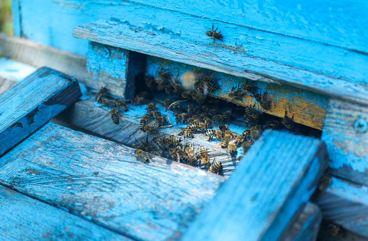 b2f61o44vvjmfpv27gs1z0acq0o14bo1