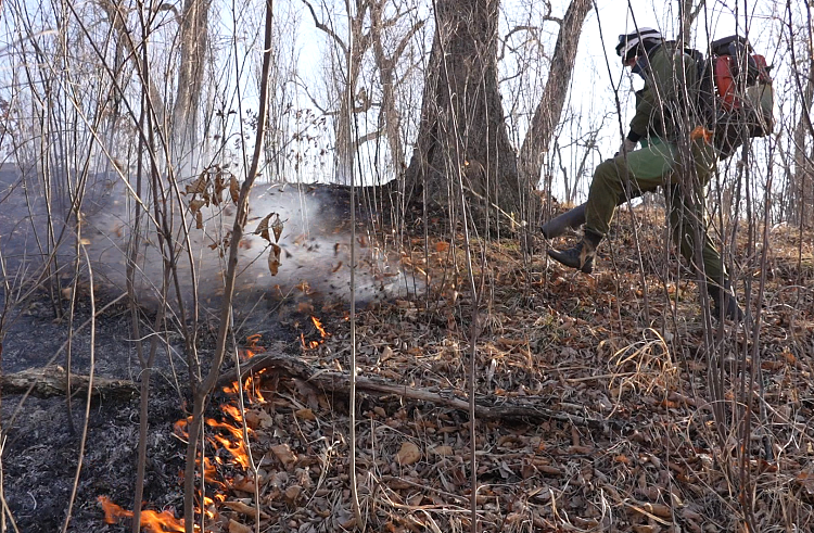 k3hlfb3kfjrm8nwhawps7xrapaevgrz6