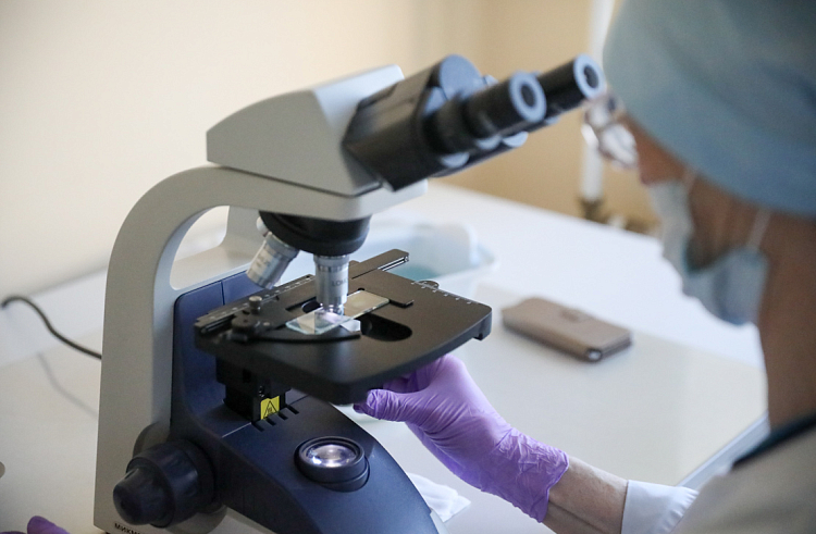 o9vxjwrut8fb409v8f8jephk5cw1a3c8