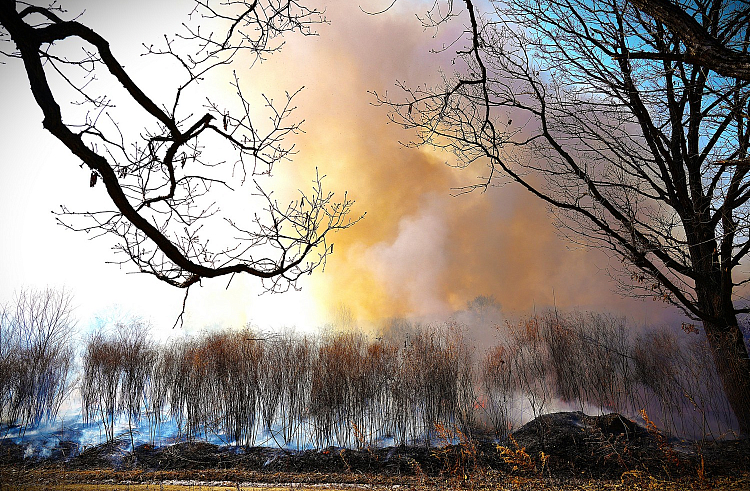 q7t81v2uksbjik0ma8cxwcnsc4nv0g2l