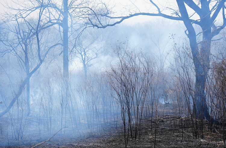 wsrbnn69vxt72t3jndk8ovvvqcfh20cg