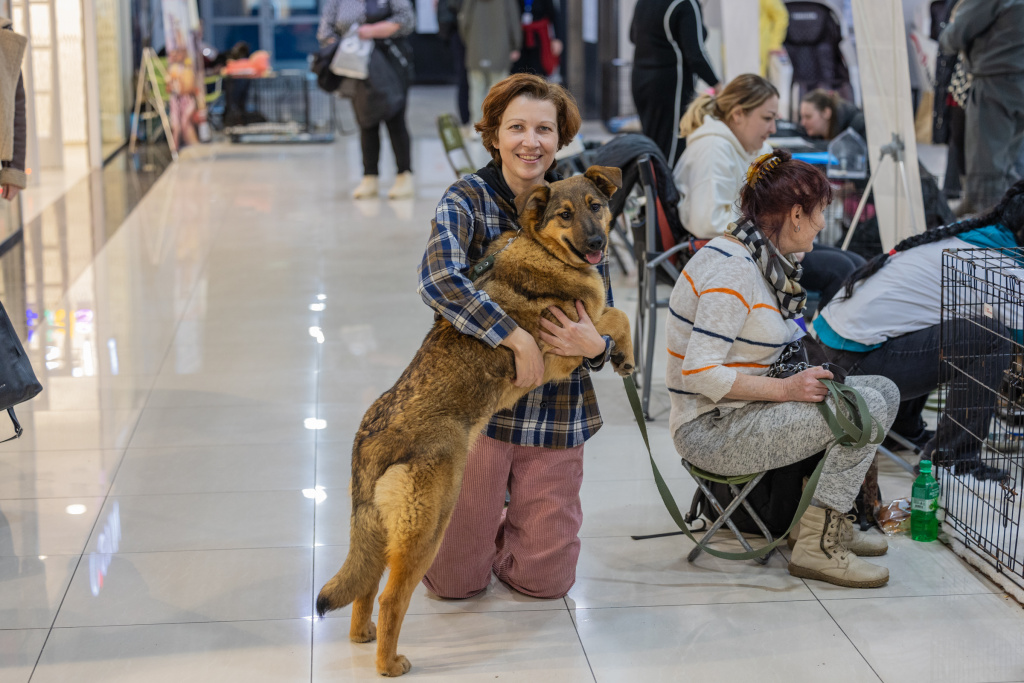 21 Fevralya Vystavka razdacha zhivotnykh Sedanka siti 21